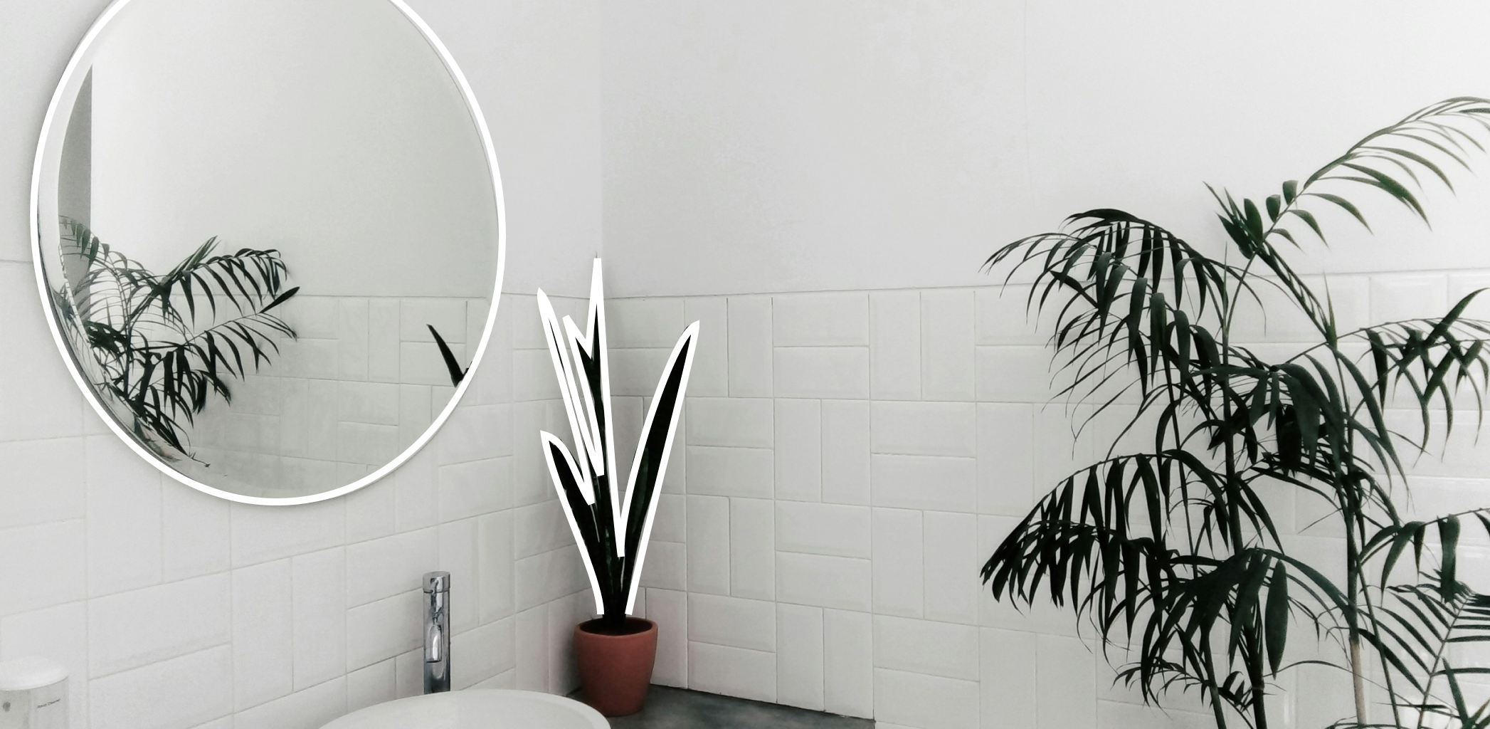 Иллюстрация к статье - Как избавиться от плесени в ванной комнате Как избавиться от плесени в ванной комнате